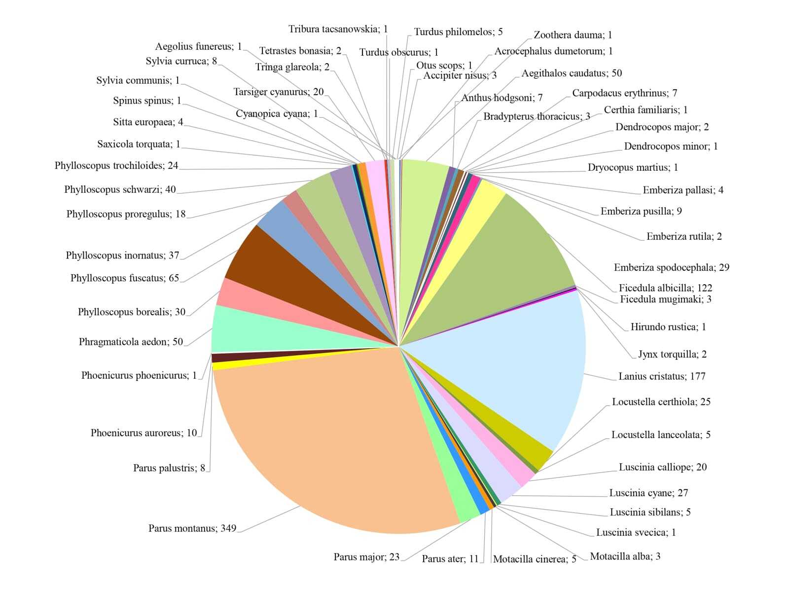 Осенний пролёт птиц, Байкальский заповедник
