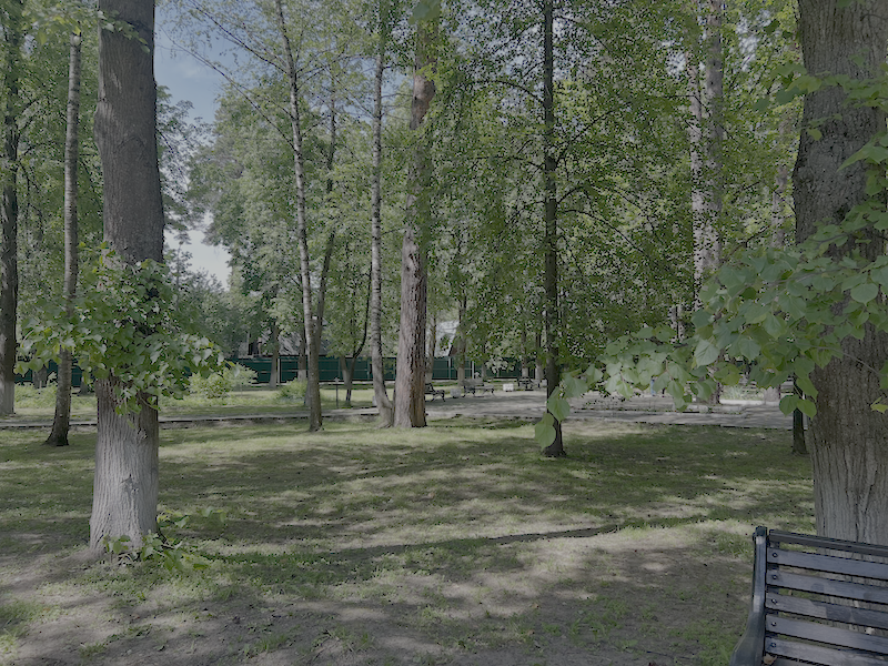 Территория санатория-профилактория 