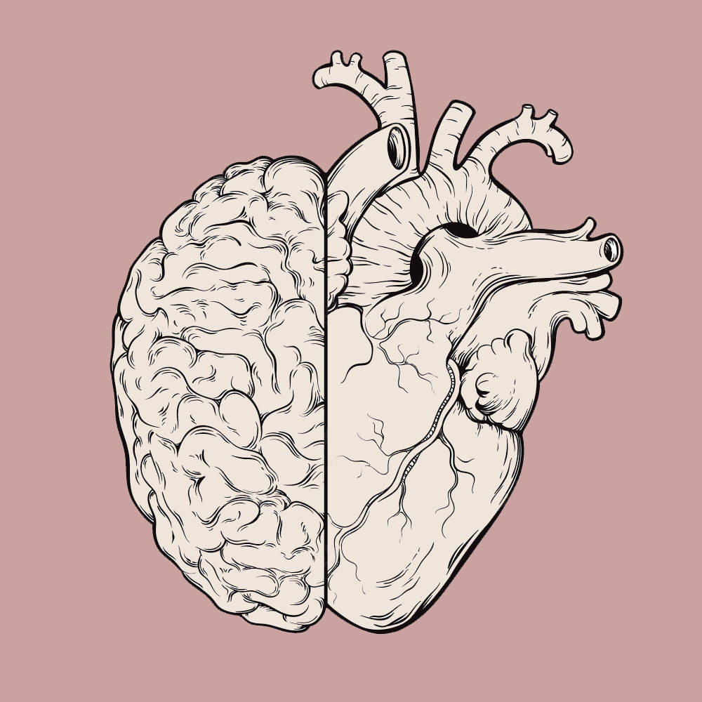 Сердечный разум