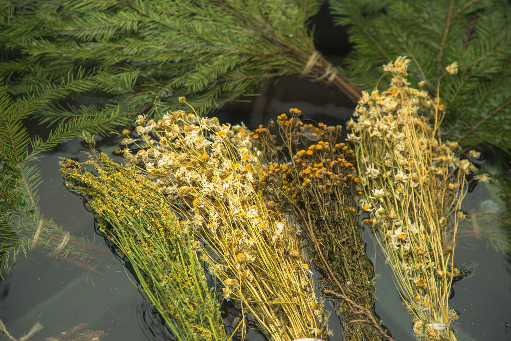 Девичник в бане