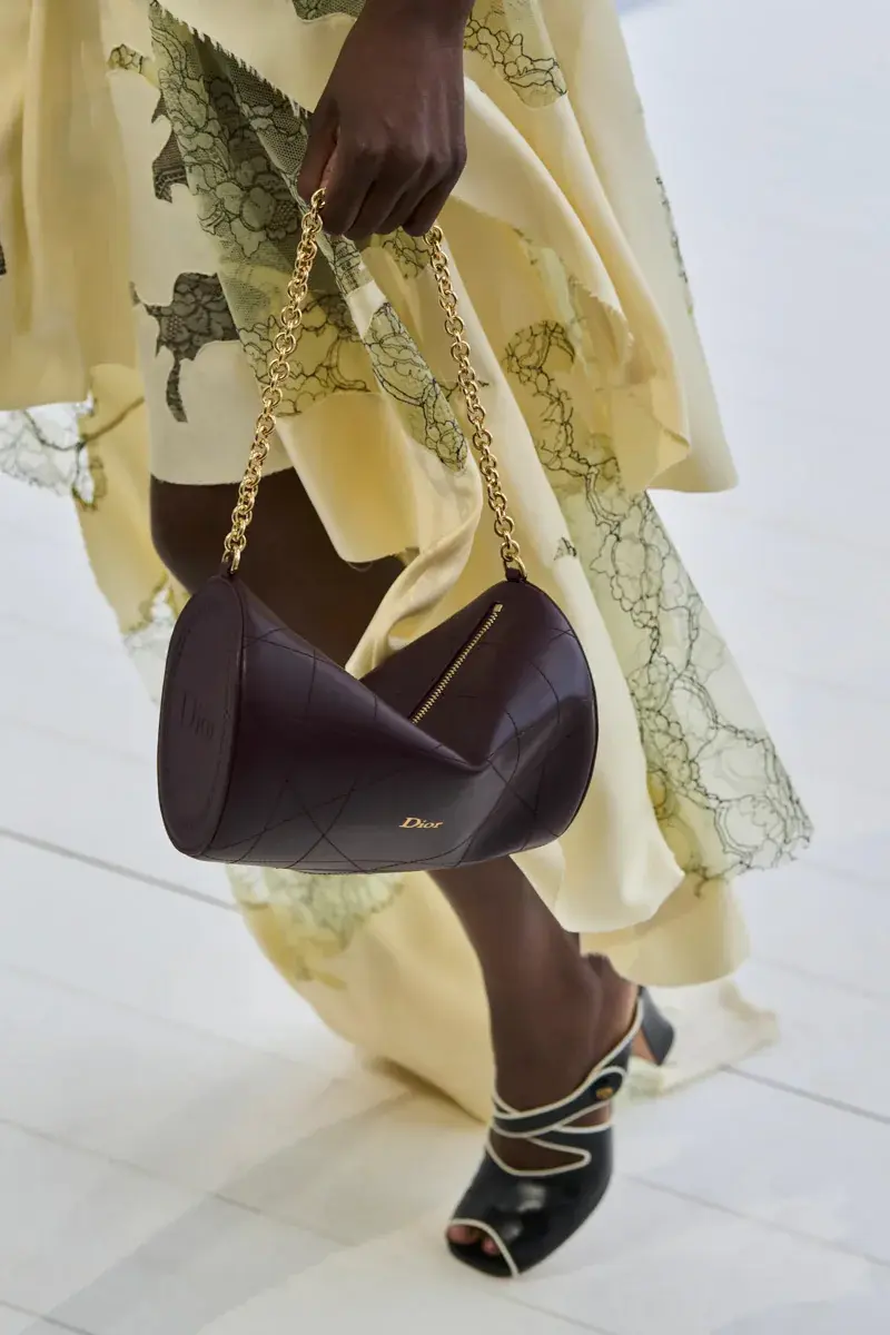 Сумки Dior Spring 2027 40