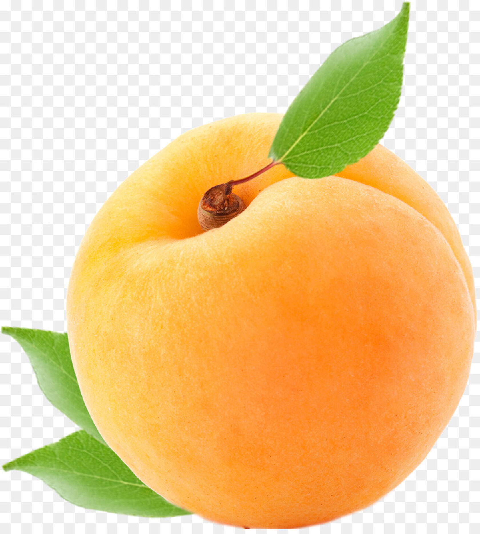 Абрикосы картинки на прозрачном фоне. Apricots – абрикосы. Абрикос на белом фоне. Персики желтые. Персик и абрикос.