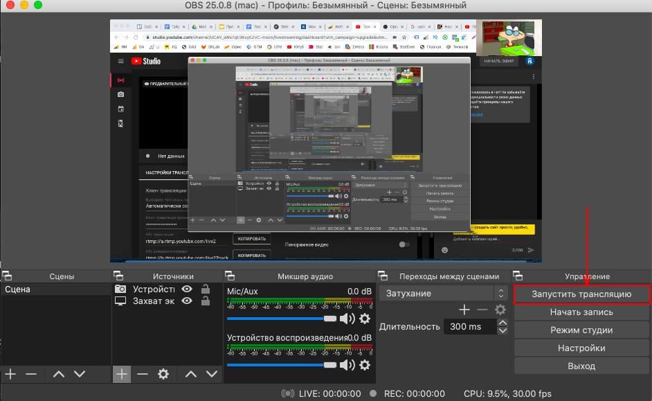 OBS настроен, нажмите 