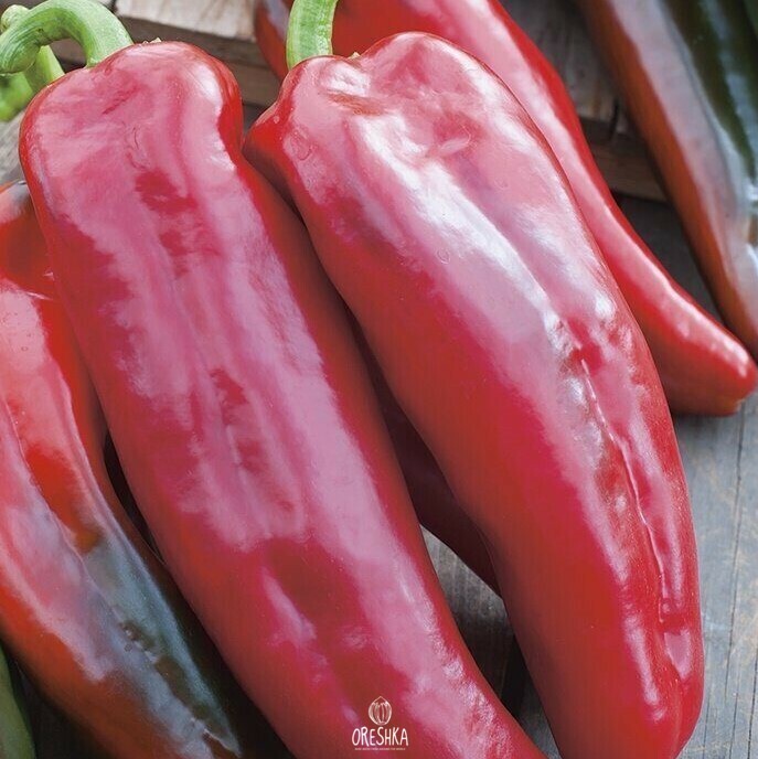 Seeds of Sweet pepper Rambo (Capsicum) — 10 pcs