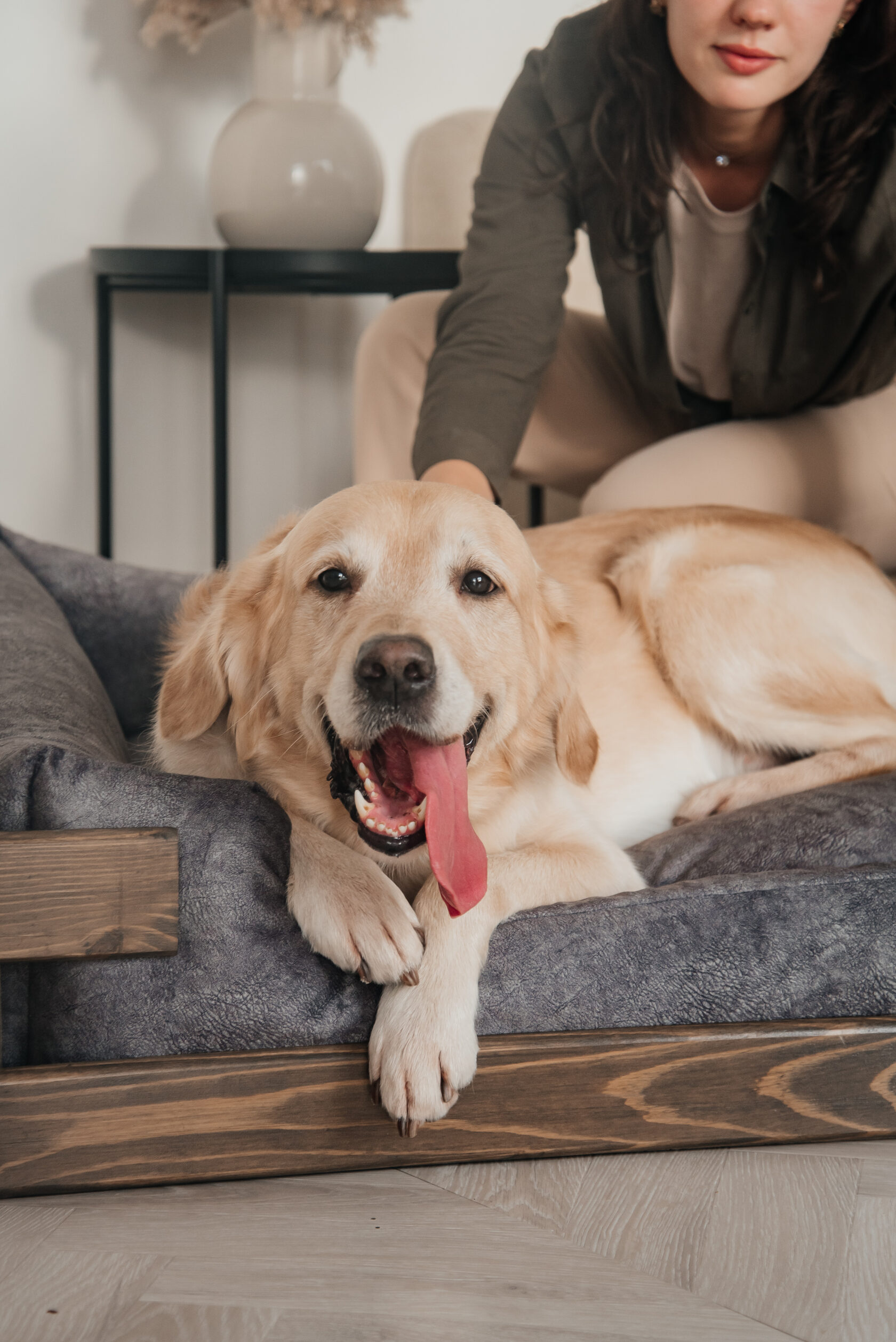 собака, которая хочет грызть мебель