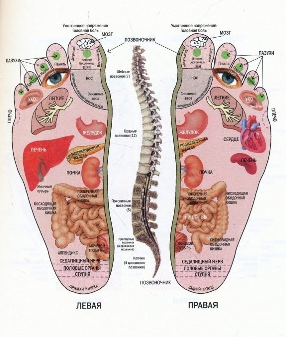 Ноги в китайской медицине: стопы, пальцы, пятки и акупунктурные точки