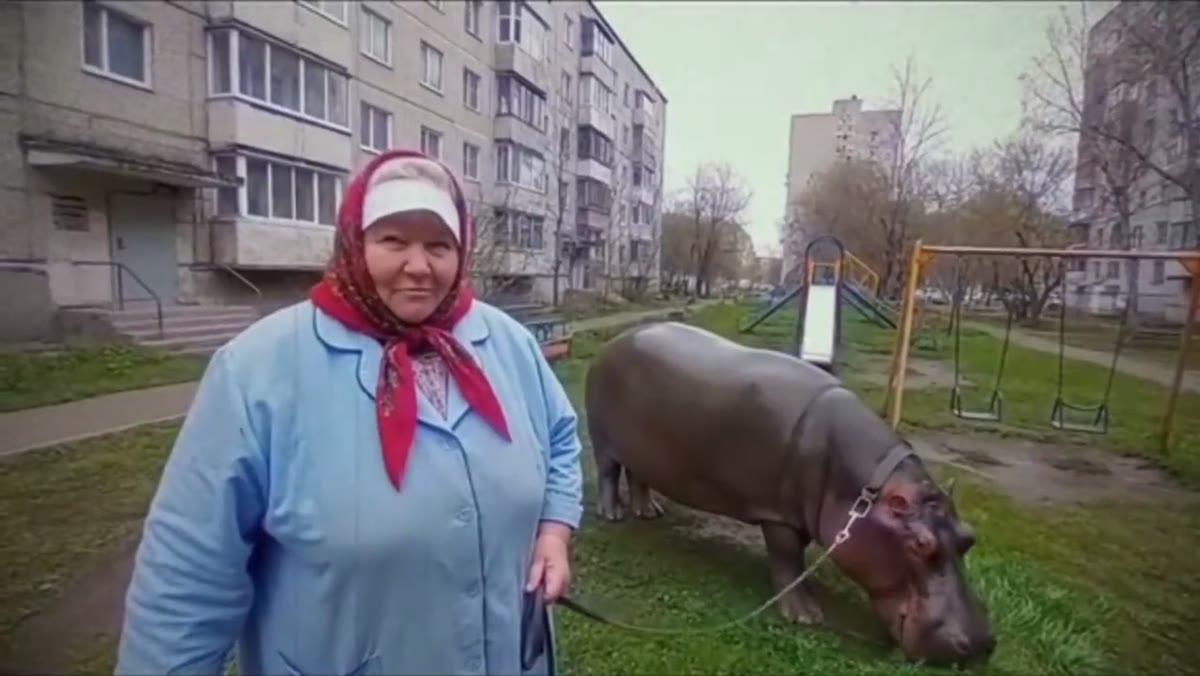 Барабулька))