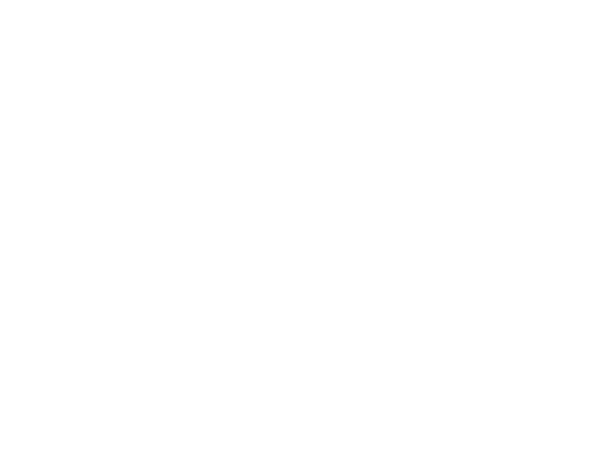 Чемоданы
