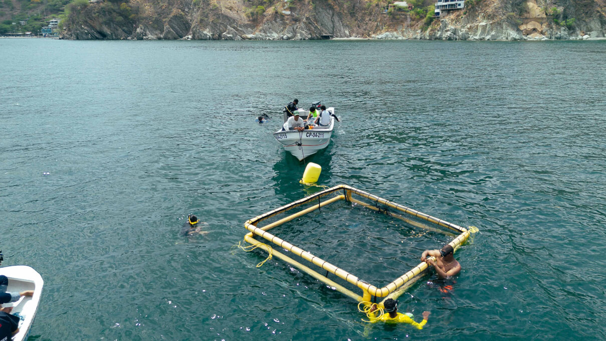 UNIMAGDALENA logra acreditación internacional ABET para el Programa de Ingeniería Pesquera