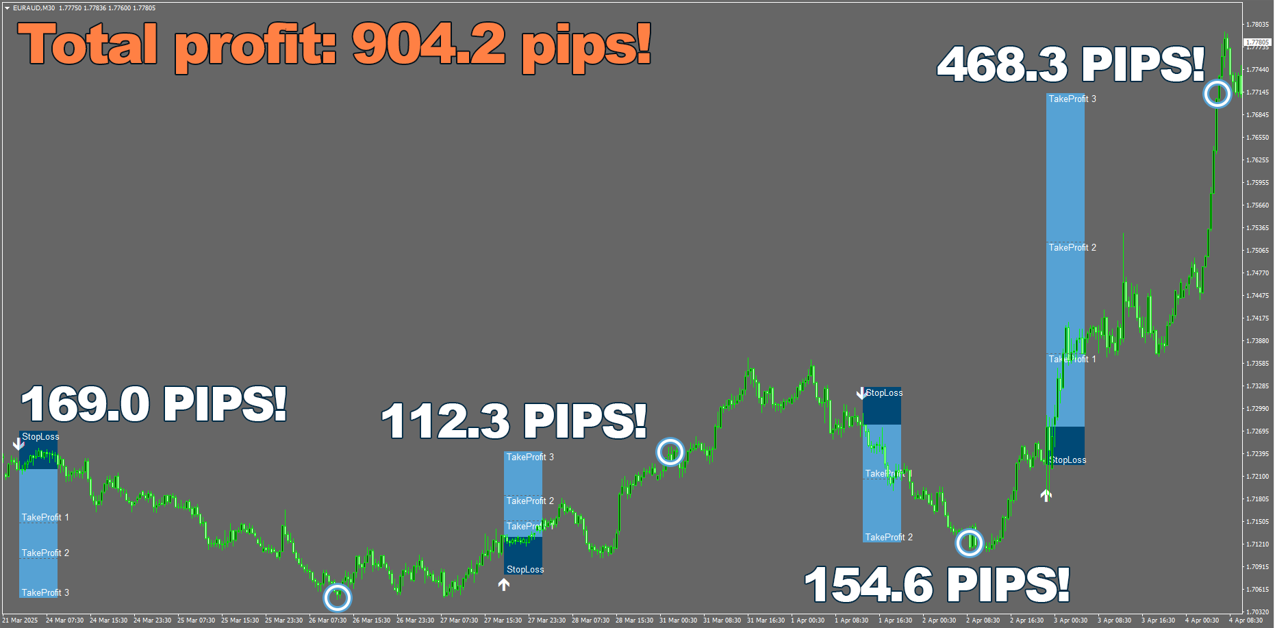 Forex Viking — the Main Page 2026