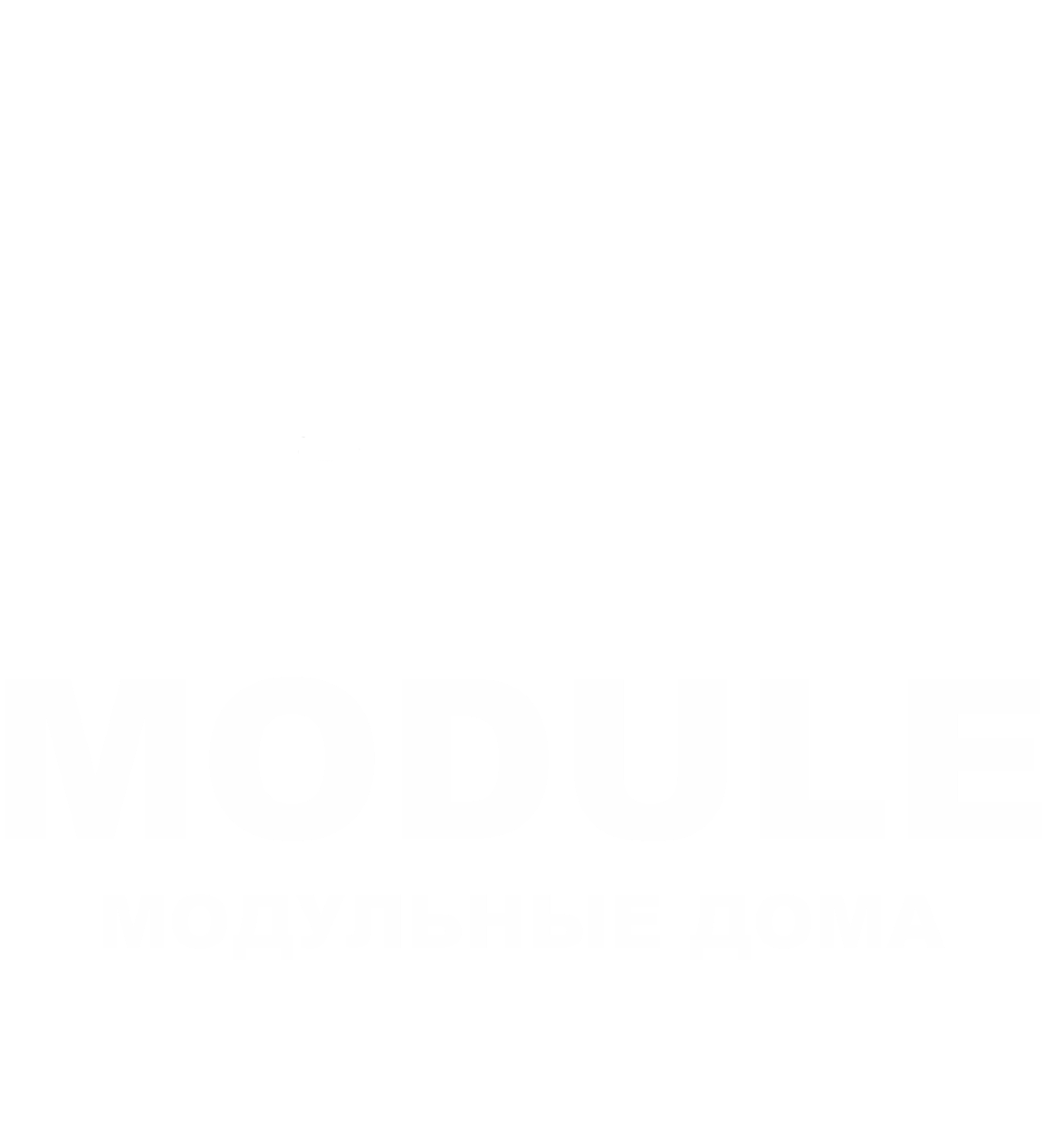 GO MODULE