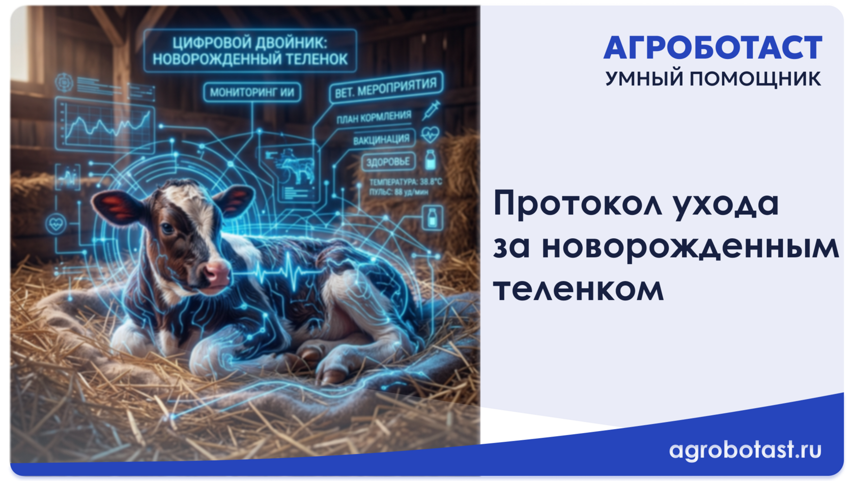 Протокол ухода за новорожденным теленком