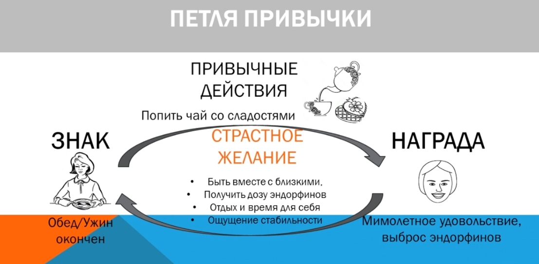 Проект сила привычки