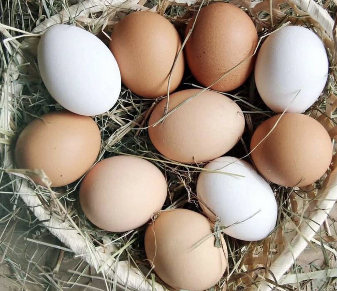 Яйца фермерские