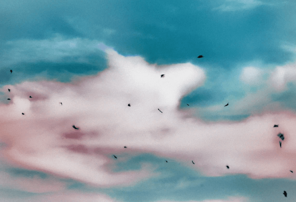 Clear sky with birds