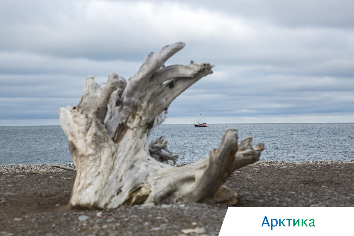 Русская Арктика