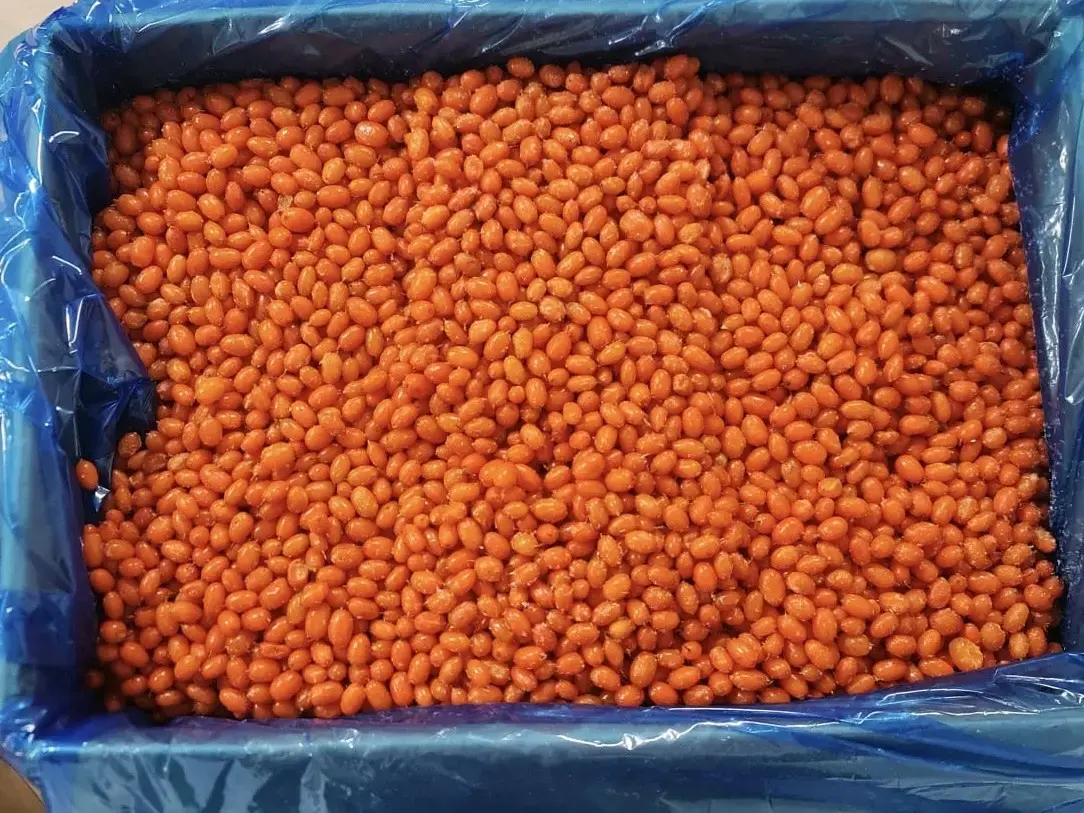 Prepared frozen sea buckthorn in blue industrial handling container