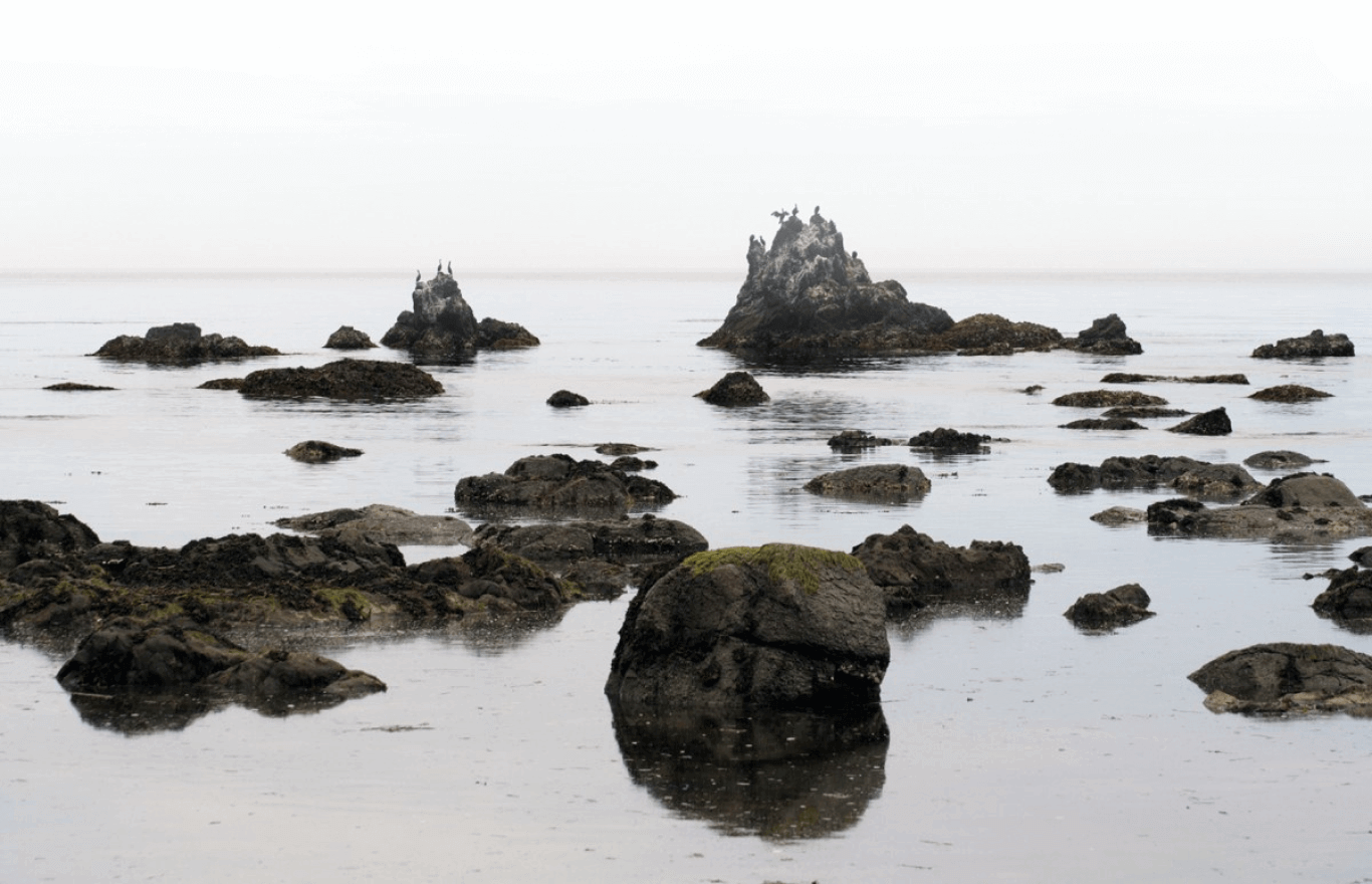 побережье Командорских островов. Камчатка