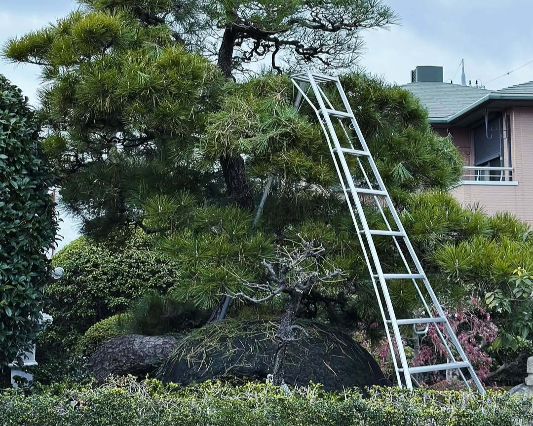 Лестницы Harax для сада