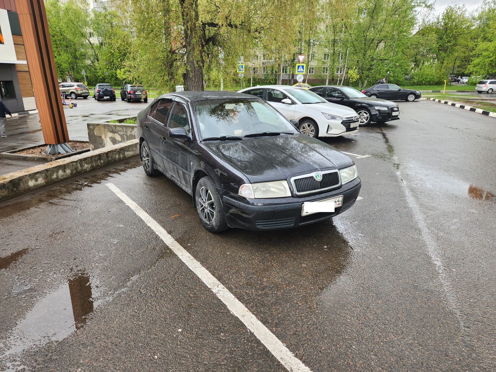 skoda octavia tour