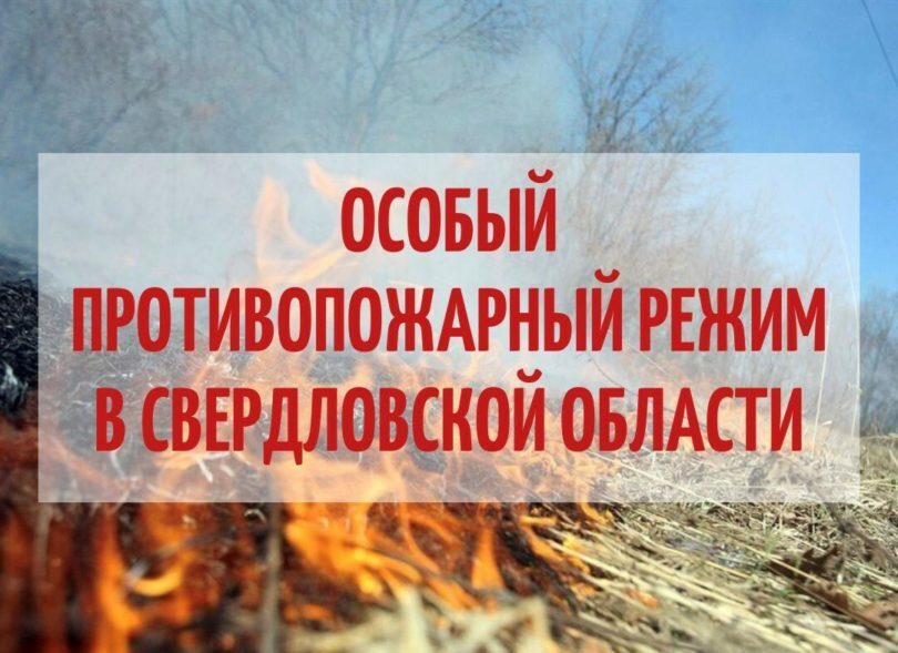 как пожарить шашлыки в противопожарный режим
