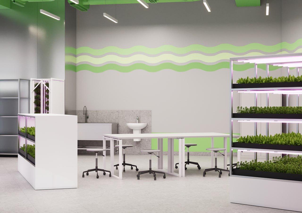 Визуальзация Проекта Лаборатории Сити-фермерства Статья Читать Фото Видео Смотреть Кванториум Сириус Курчатовский Класс Точка Роста Колледж Школа Агробиолаборатория Сити-Фермерства