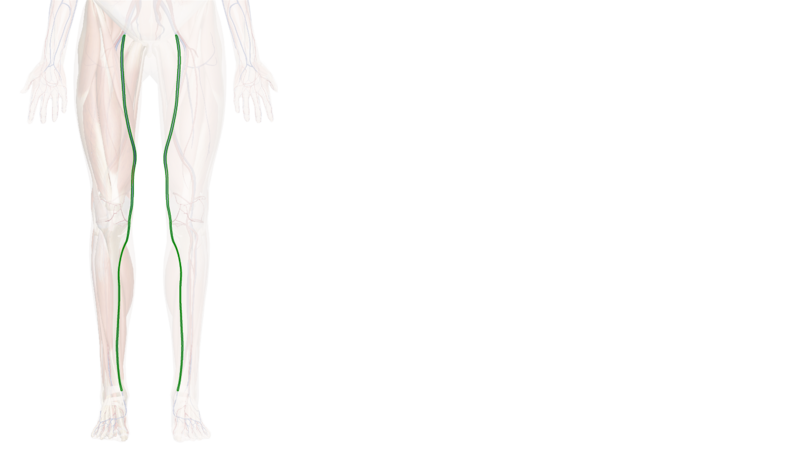 Валерий Уваров Пирамиды наследие богов, Кадуцеи Гора, Кадуцеи Ба-Ка, Жезлы Гора, Цилиндры фараона, Жезлы Египтян, Жезлы Ра