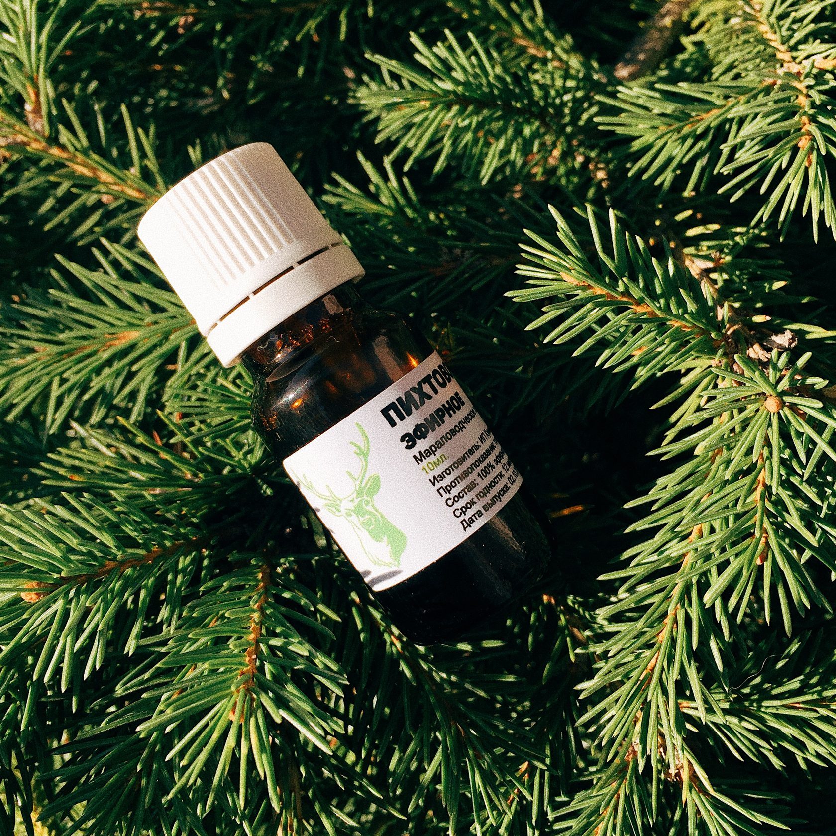 Fir Essential Oil