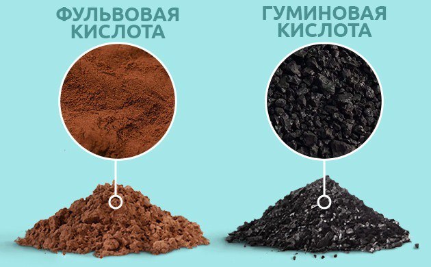 Гуминовые и фульвовые кислоты для растений