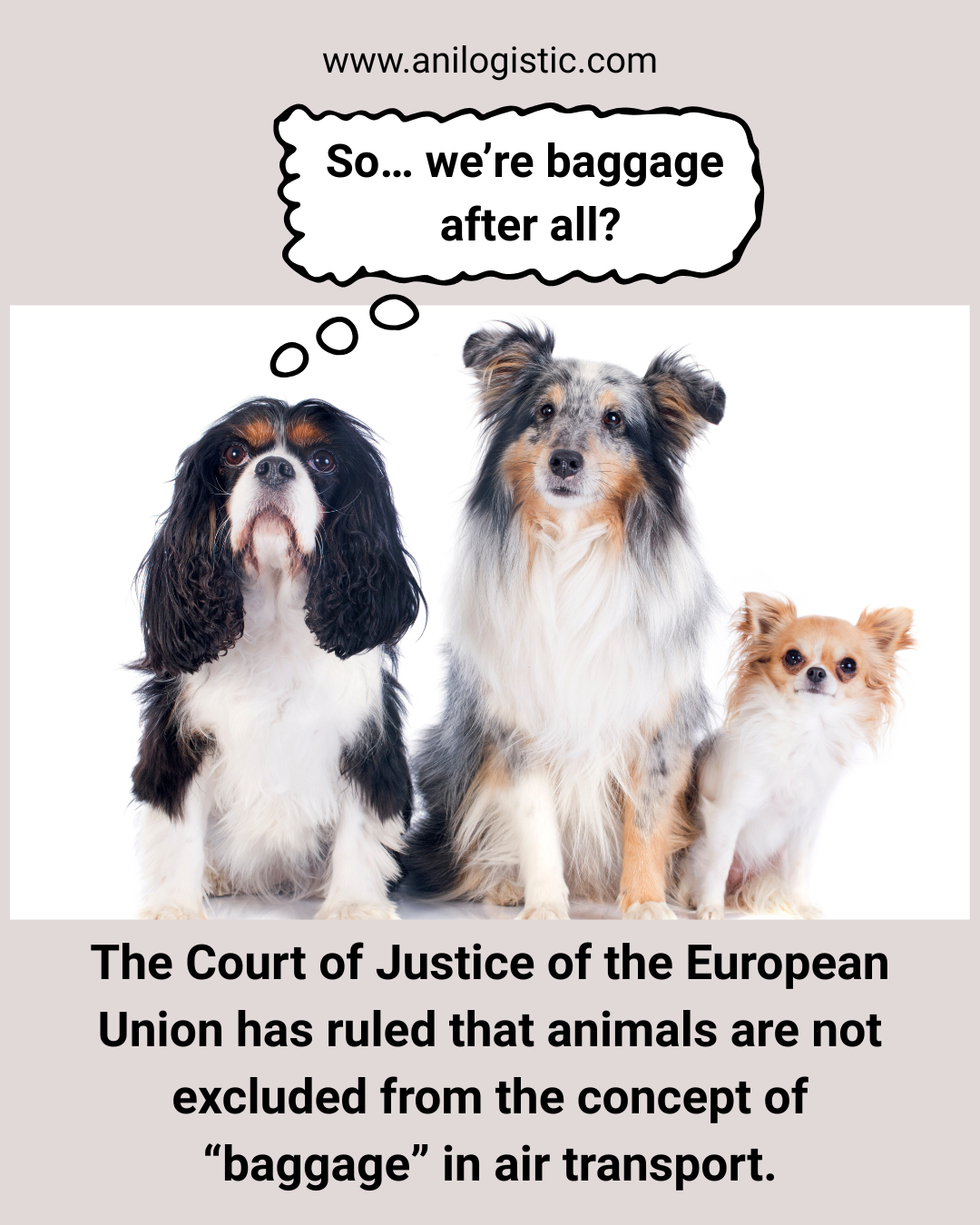 CJEU ruling on the case of the escaped dog on the Iberia flight