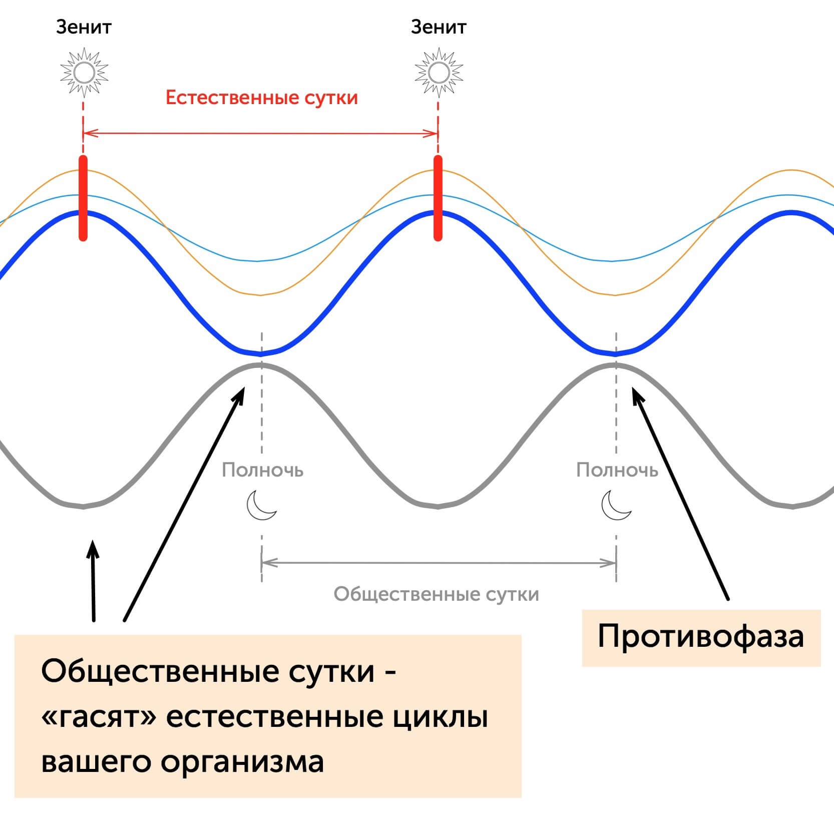 Естественный цикл