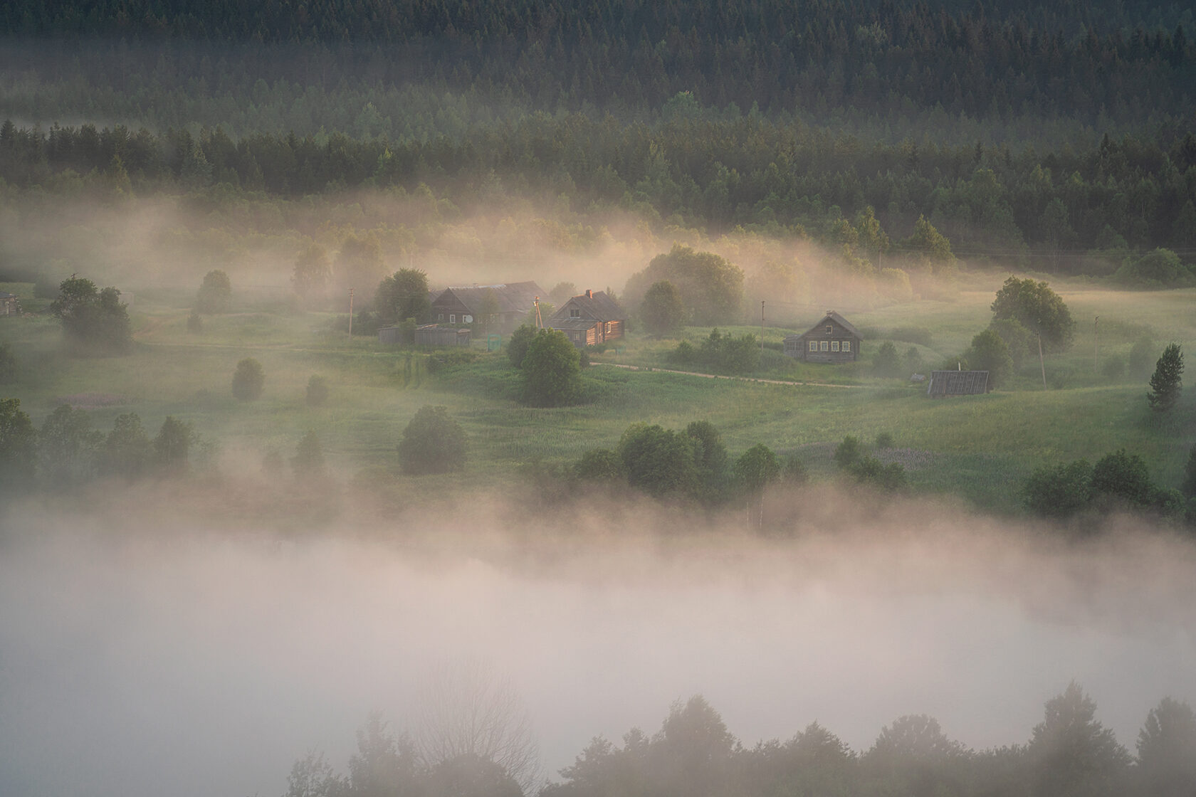 Вепсский лес осень