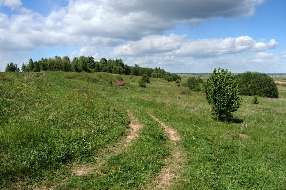 Деревня Горицы Нижегородская область