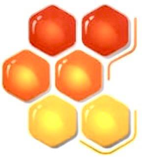 апифорум, конгресс пчеловодов, конференция по пчеловодству, апипульс, цифровой улей, умный улей, цифровая пасека, программа апифорум