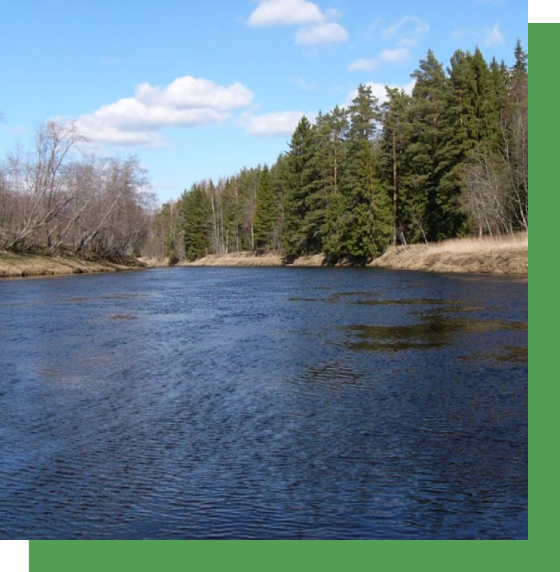 семилуки пейзажи. река межа. межа река в костромской. река межа костромская область. река межа костромская область.