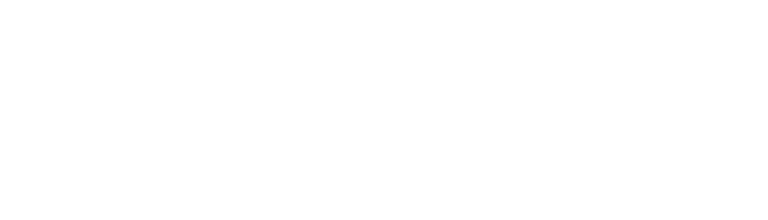 Логотип цвет 4