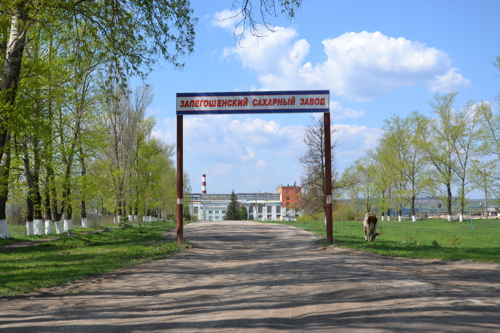  Залегощенский сахарный завод