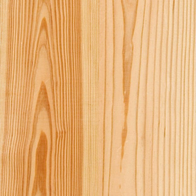 Структура дерева сосна