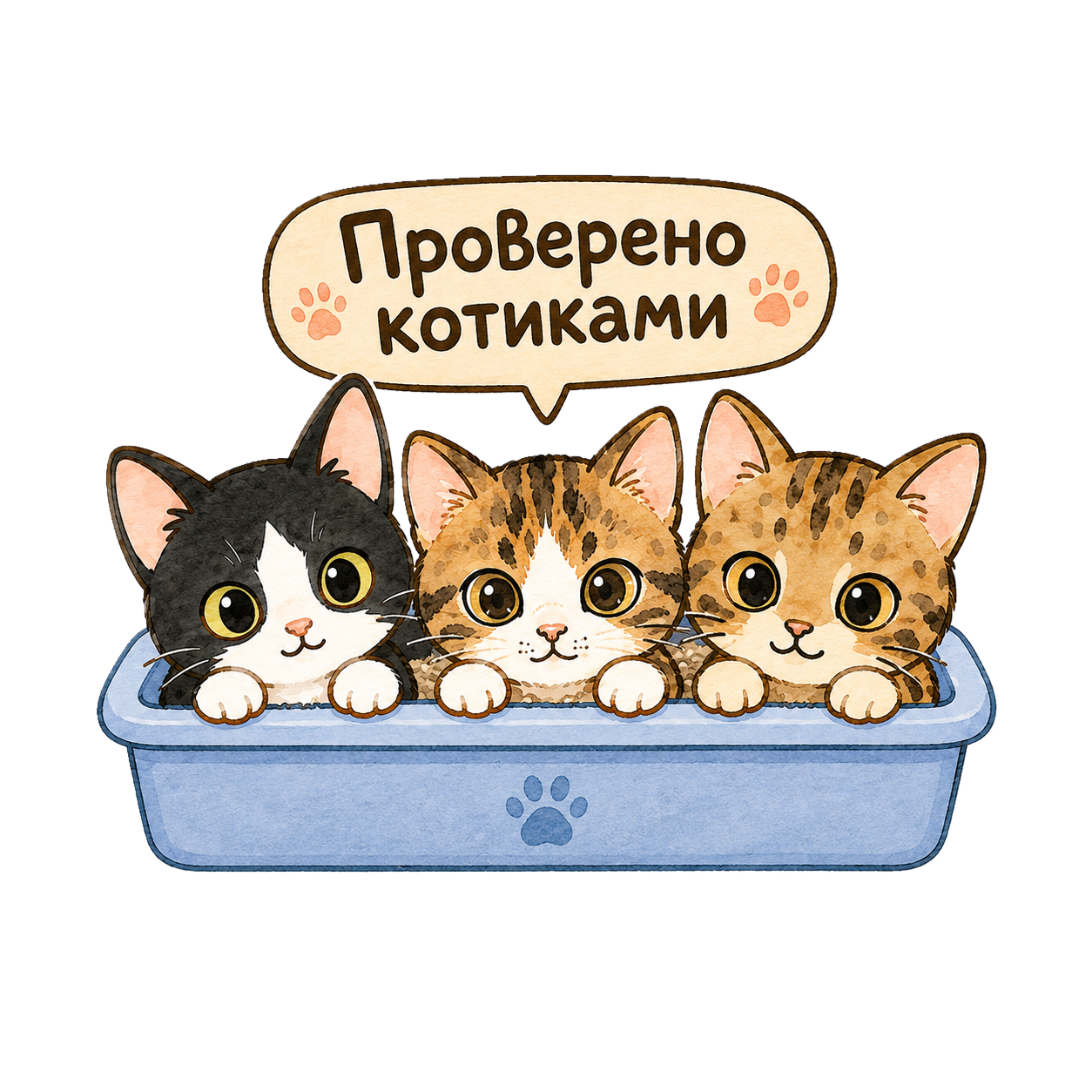 Котики