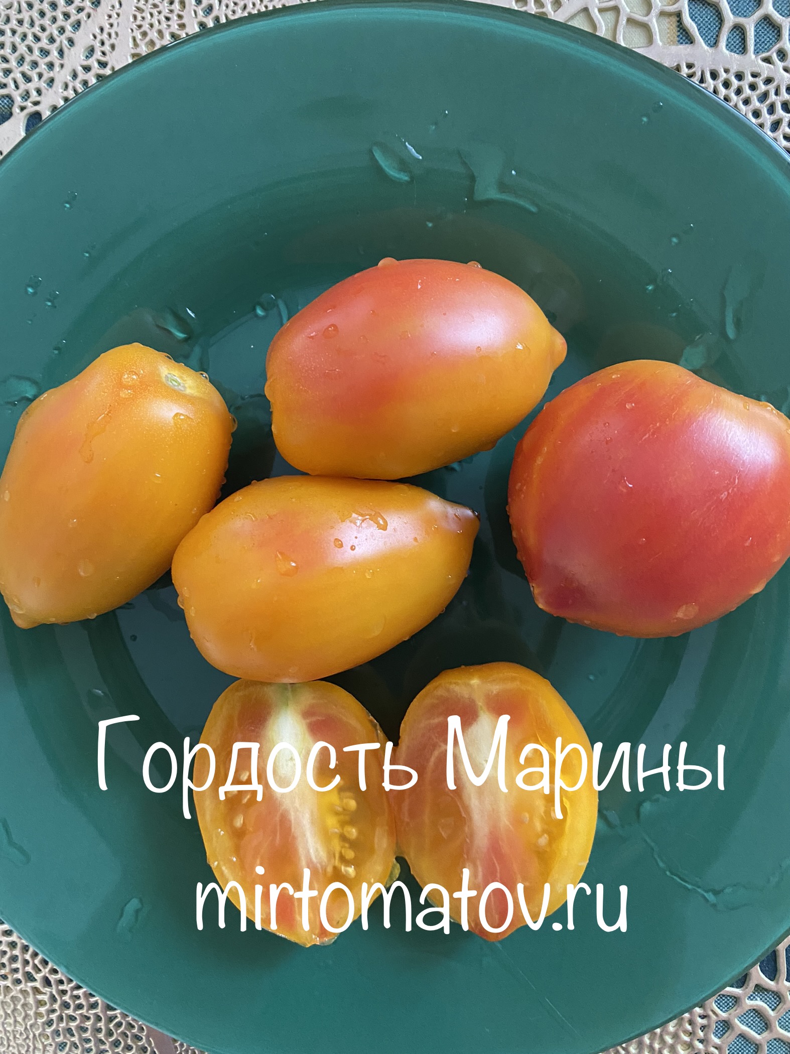 Гордость Марины ( Marina’s Praise, США)