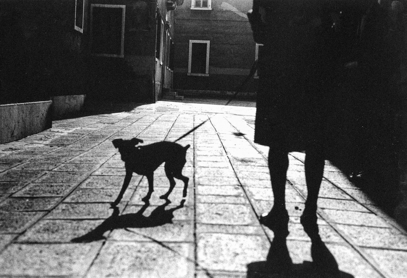 Venice. negative 35 BW