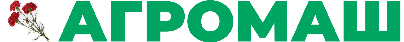 Company