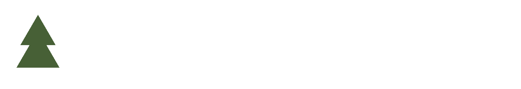 ЕЛОВЫЙ ДОМ