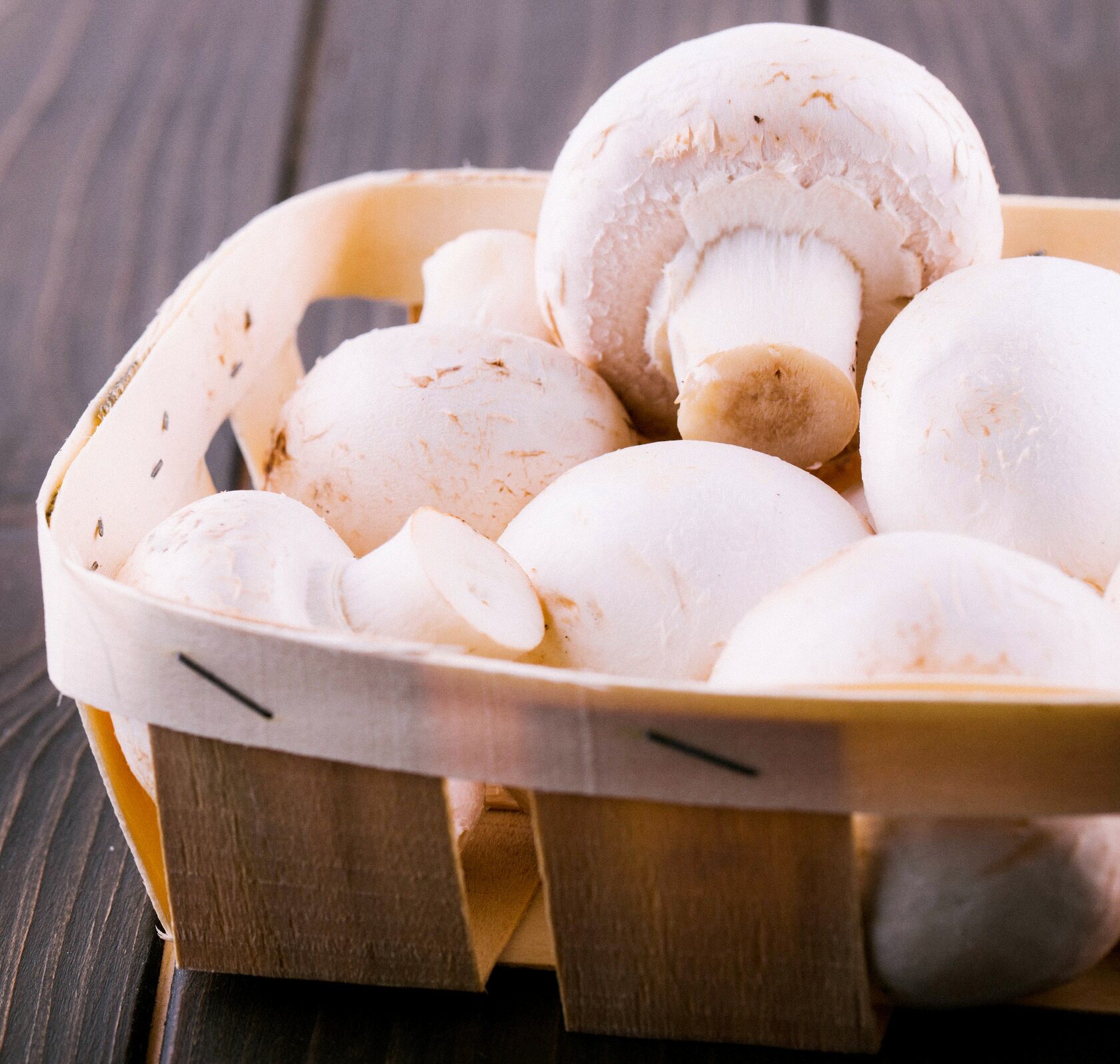 Мрамор White Mushrooms