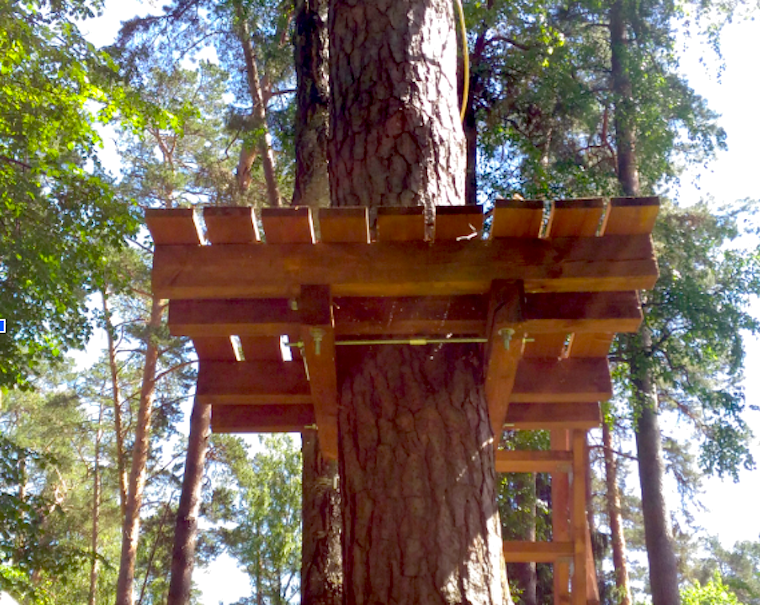 Проектирование конструкции домика на дереве