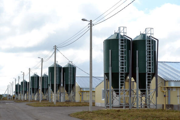 Инкубатор "Тамбовская индейка" 