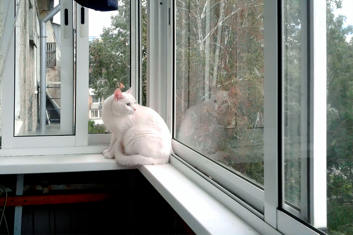 Балкон для кошек купить. Антикошка на окна. Балкончик антикошка. Кот сетка антикошка. Сетка антикошка на раздвижные окна.