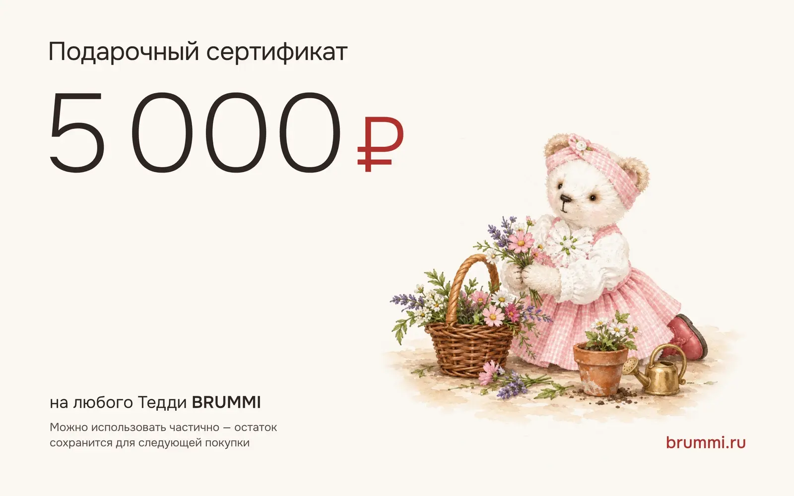 Подарочный сертификат BRUMMI на 5 000 ₽