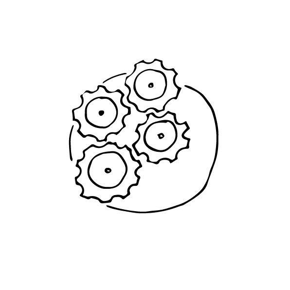 Интеграция IT-систем