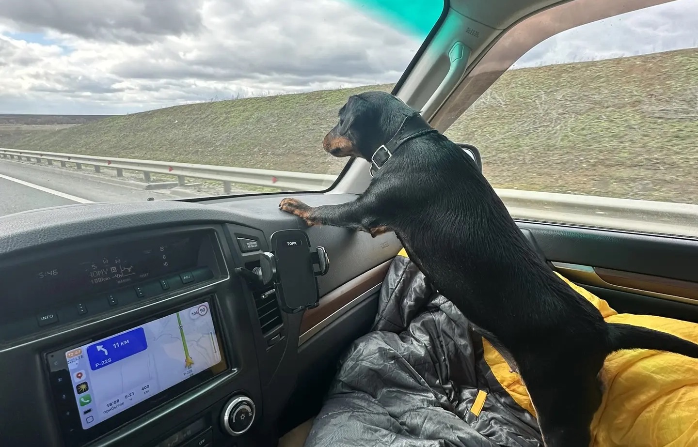 Едем из Бараула в Волгоград на испытания норных за CACT. Ягданутые.